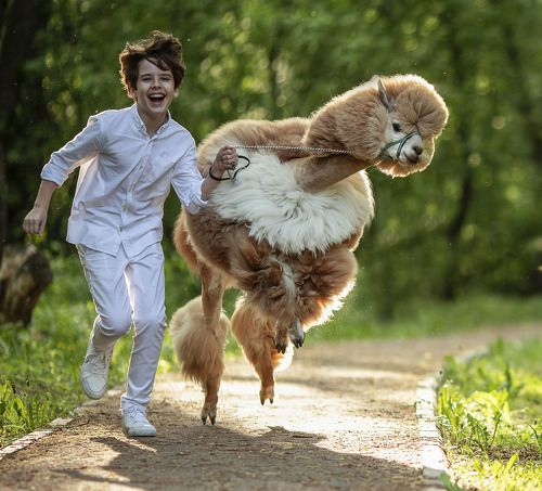 Веселая прогулка