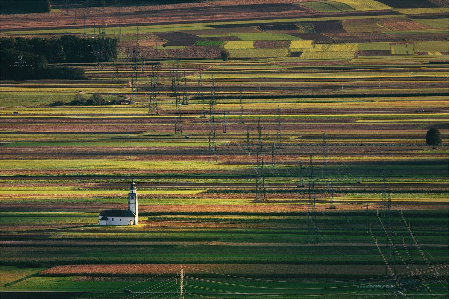 , Дмитрий Купрацевич