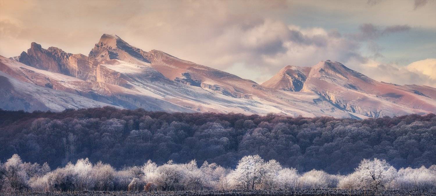 , Алексей Богорянов