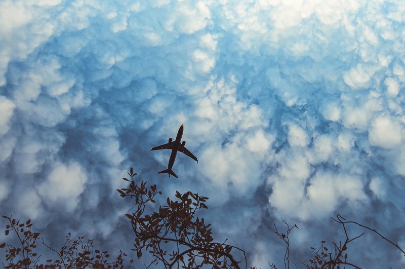 небо, самолёт, облака, полёт  фото превью