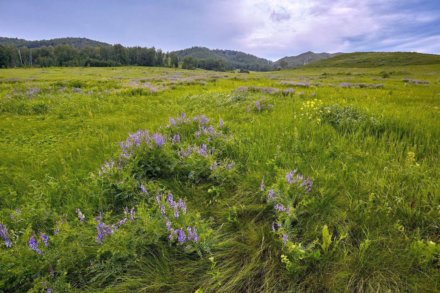 южный, урал, губерля орск, новотроицк, Качурин Алексей