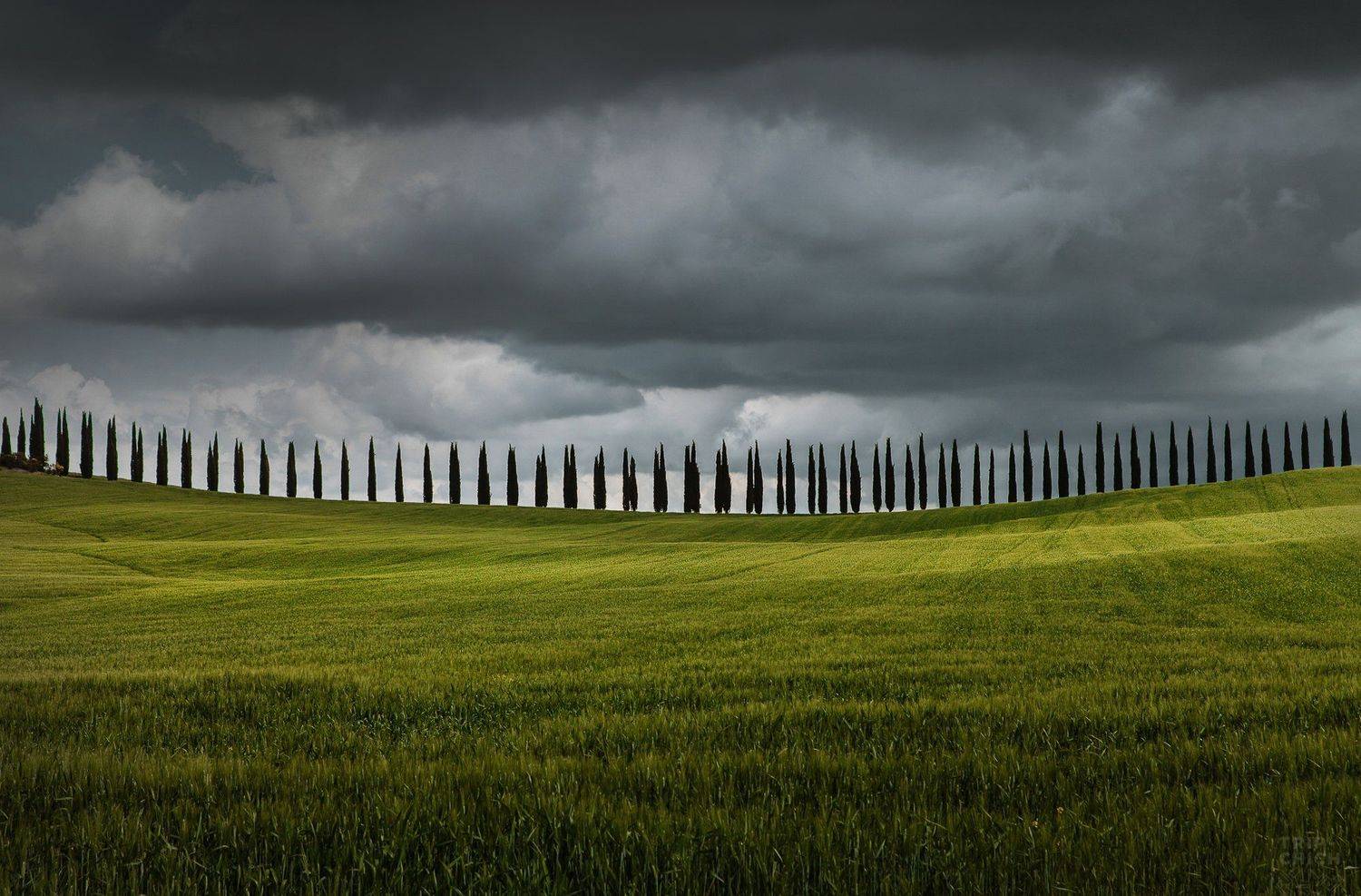 italia, nature, travel, tuscany, italy, Анастасия Колесникова