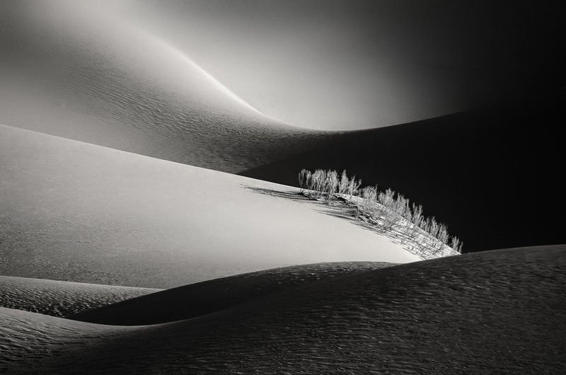 desert,landscape,black and white,neture,abstraction,conceptual Desert фото превью