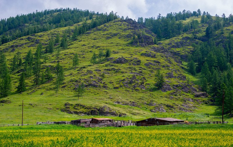 berendey Алтай фото превью