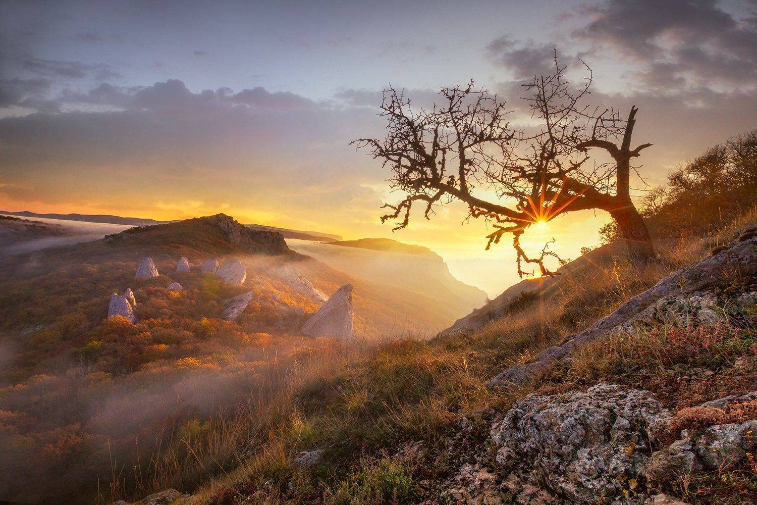 , Александр Костенко