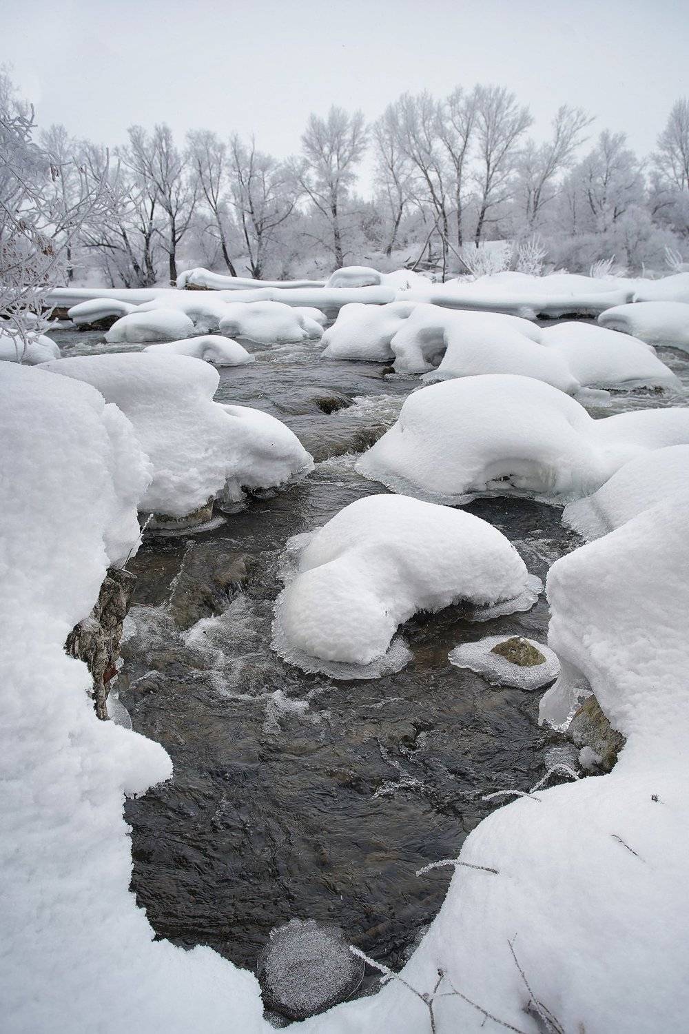 пейзаж,зима,дерево,иней снег,сугроб,река,мороз, Тамара Андреева