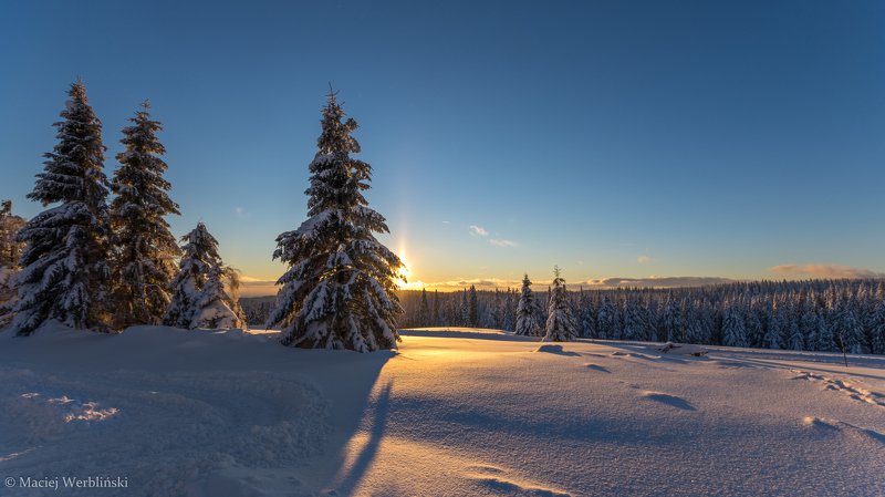 Light from the setting sun фото превью