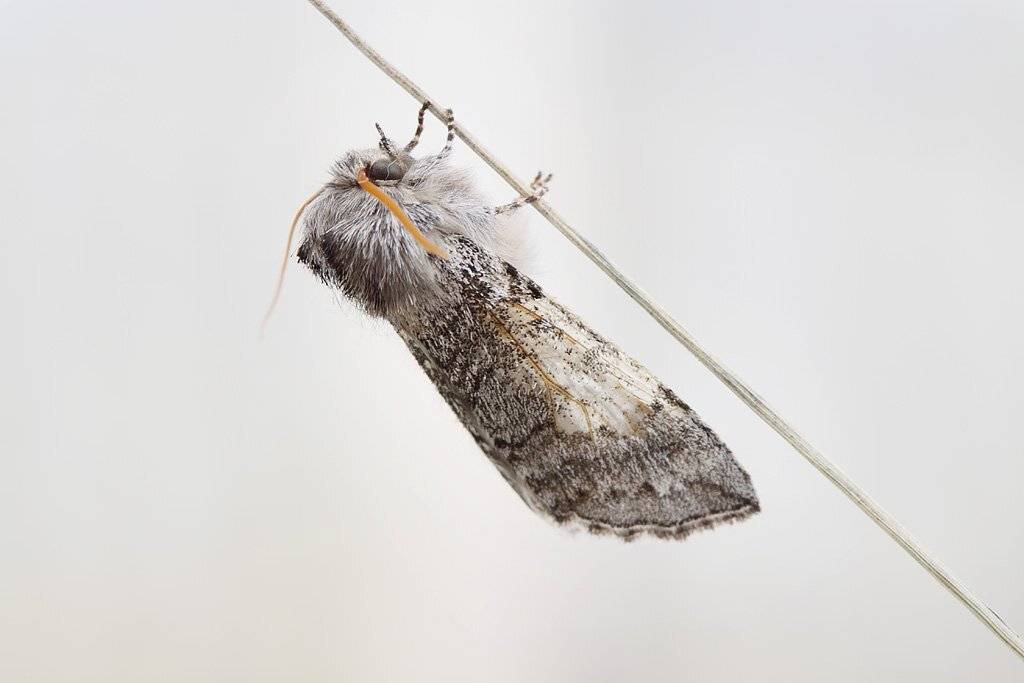 , Сергей Таланов