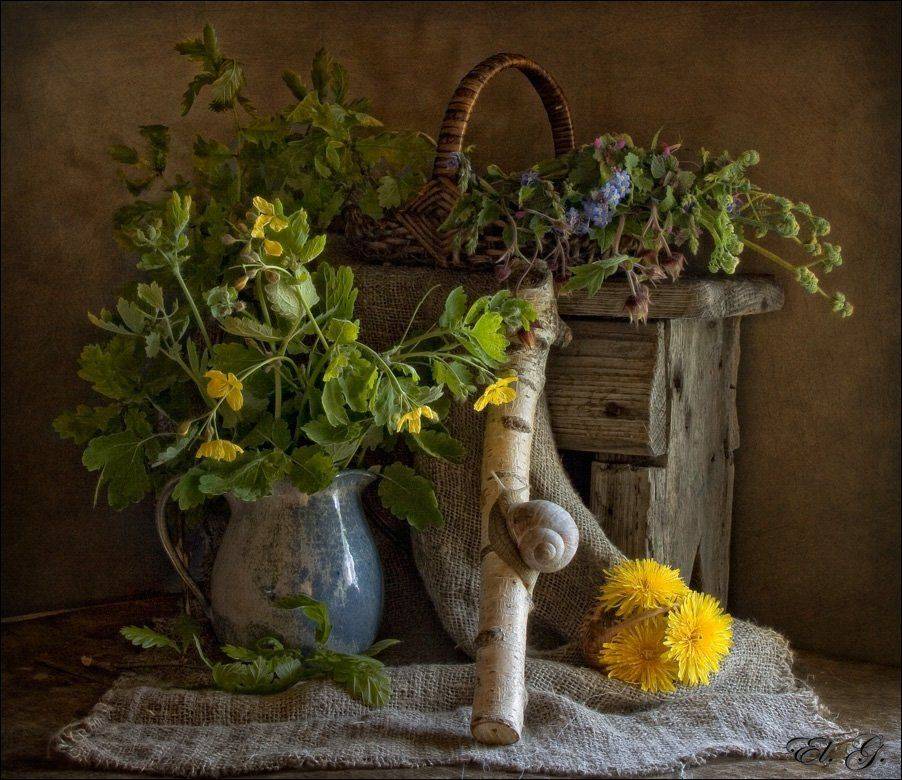 натюрморт, весна, одуванчики, цветы, улитка, El. G.