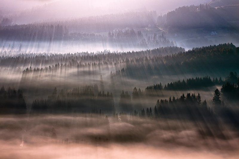 In the morning ... фото превью