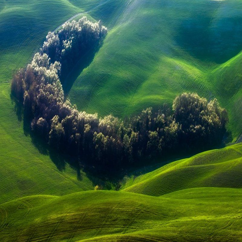 Smile ... фото превью