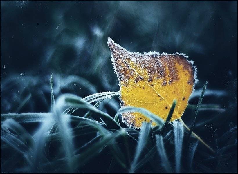 , Глазунов Николай