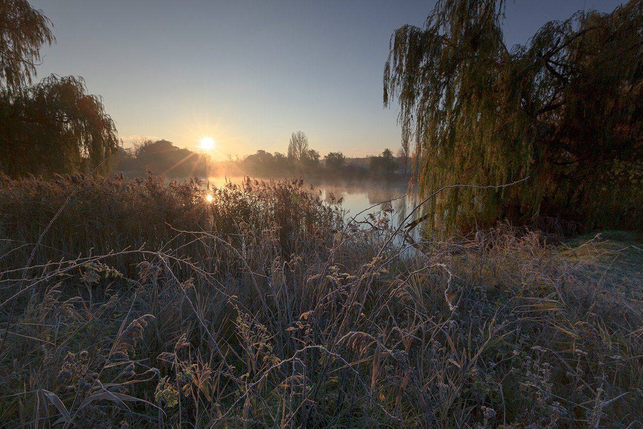 , Петр Антонович