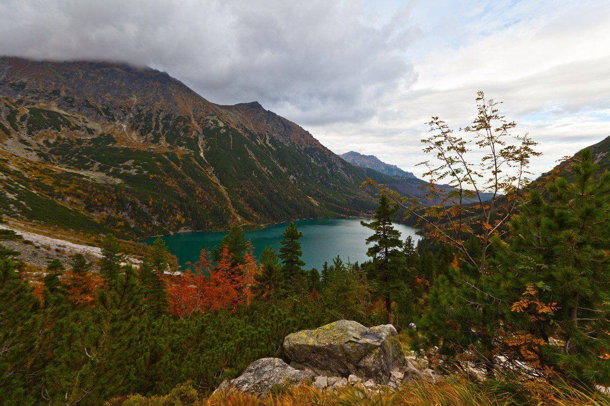 , Людмила Прокофьева