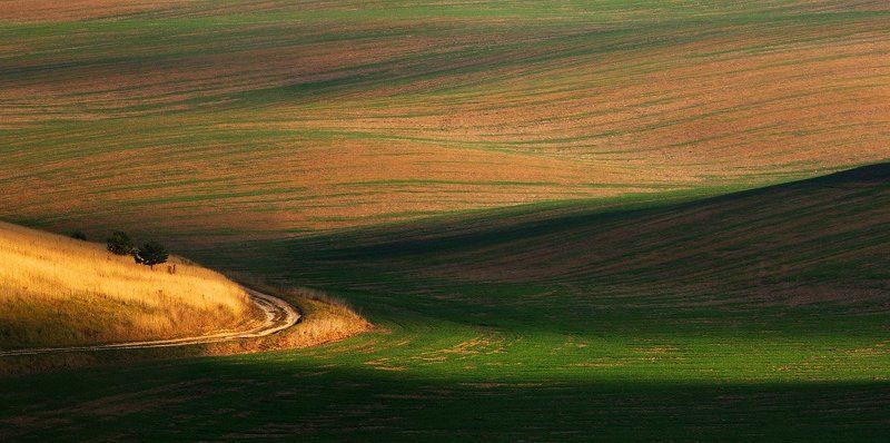** фото превью