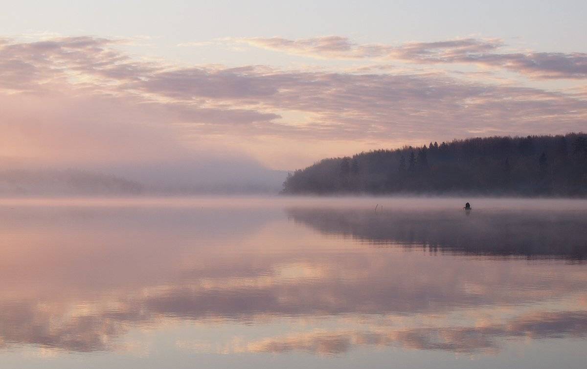 , Владимир Перепечаев