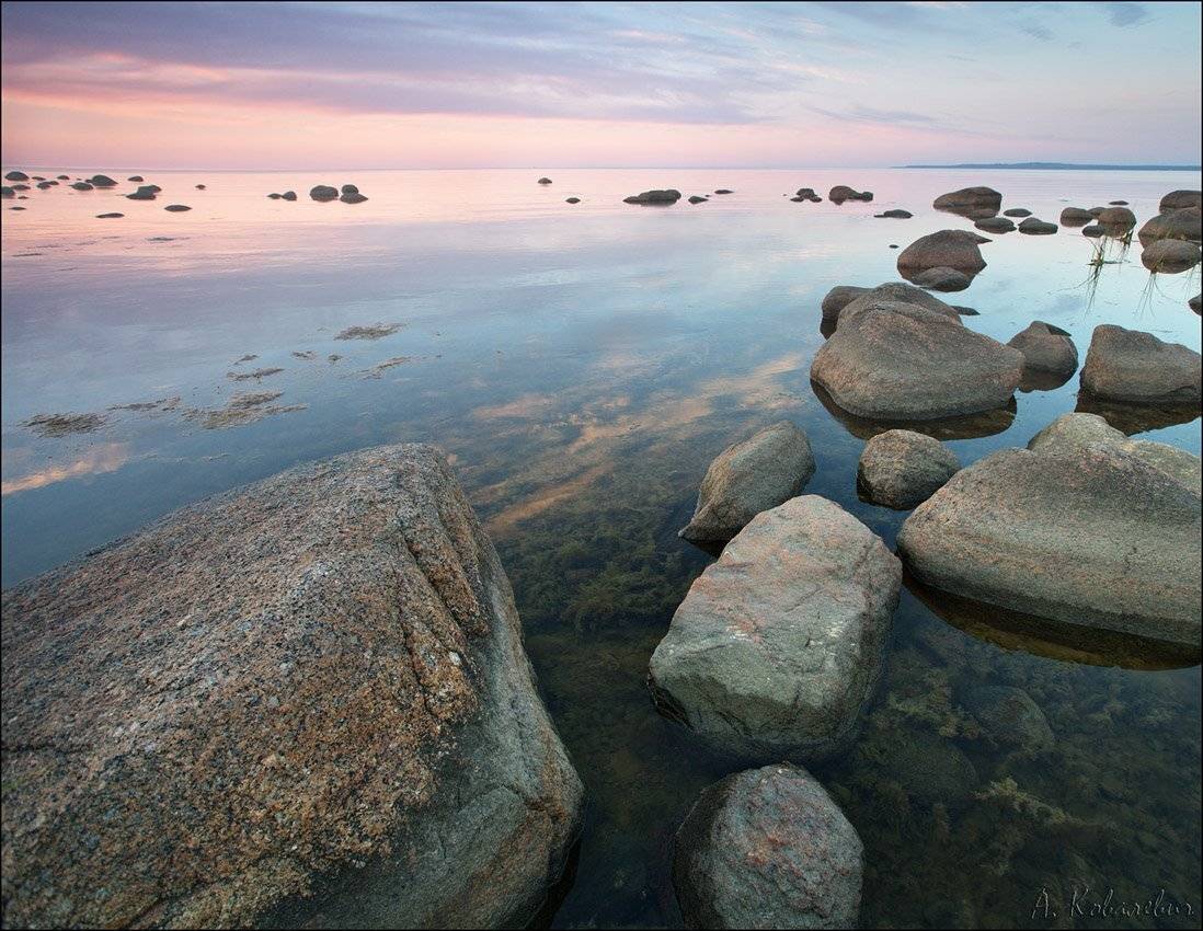 , Ковалевич А.