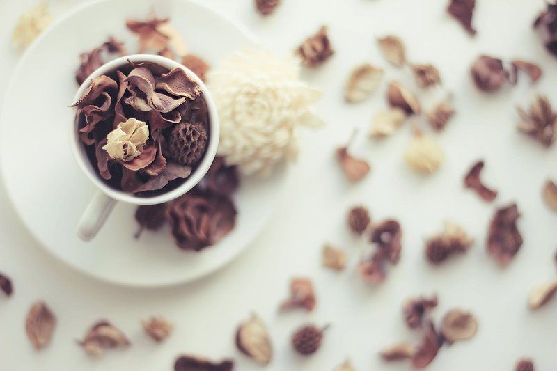 Утреннее фото превью