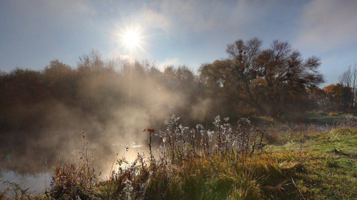 , Михаил Псарёв