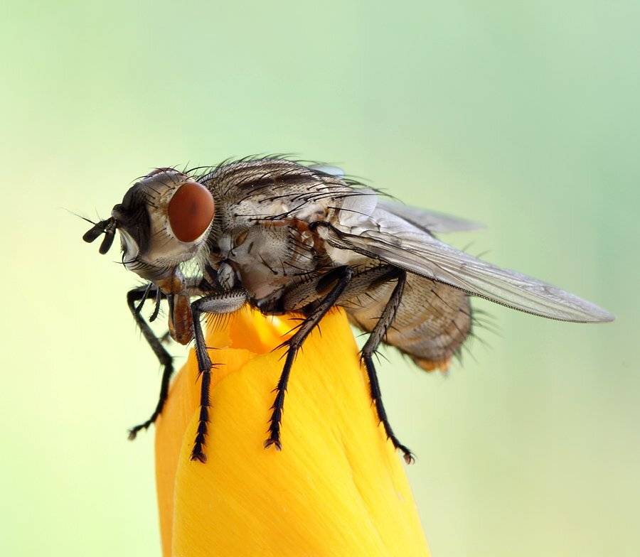 , Сергей Таланов