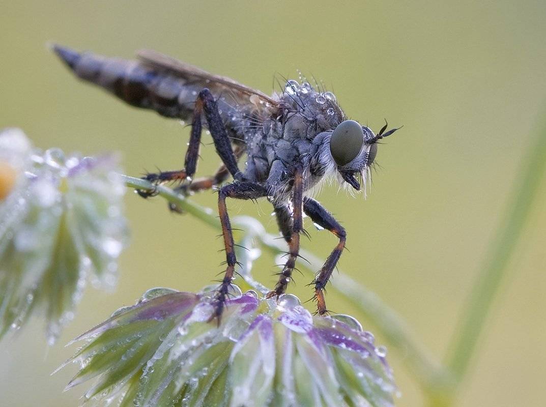, Андрей Канышев
