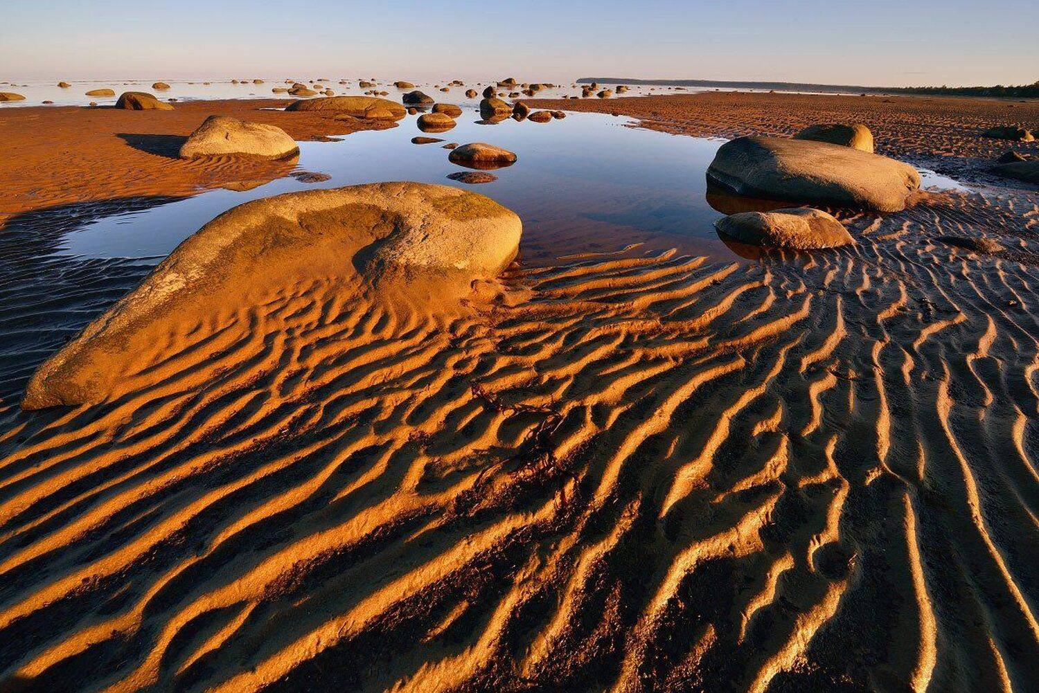 , Максим Евдокимов