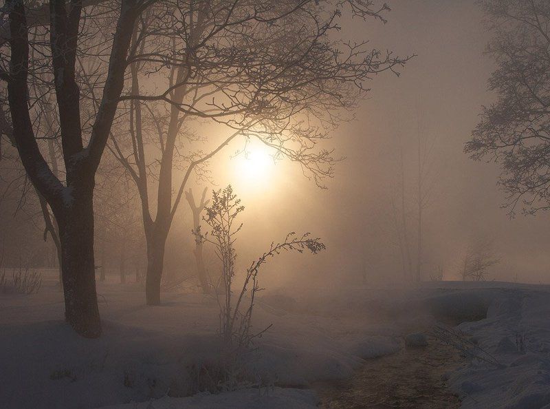 Зимнее утро фото превью