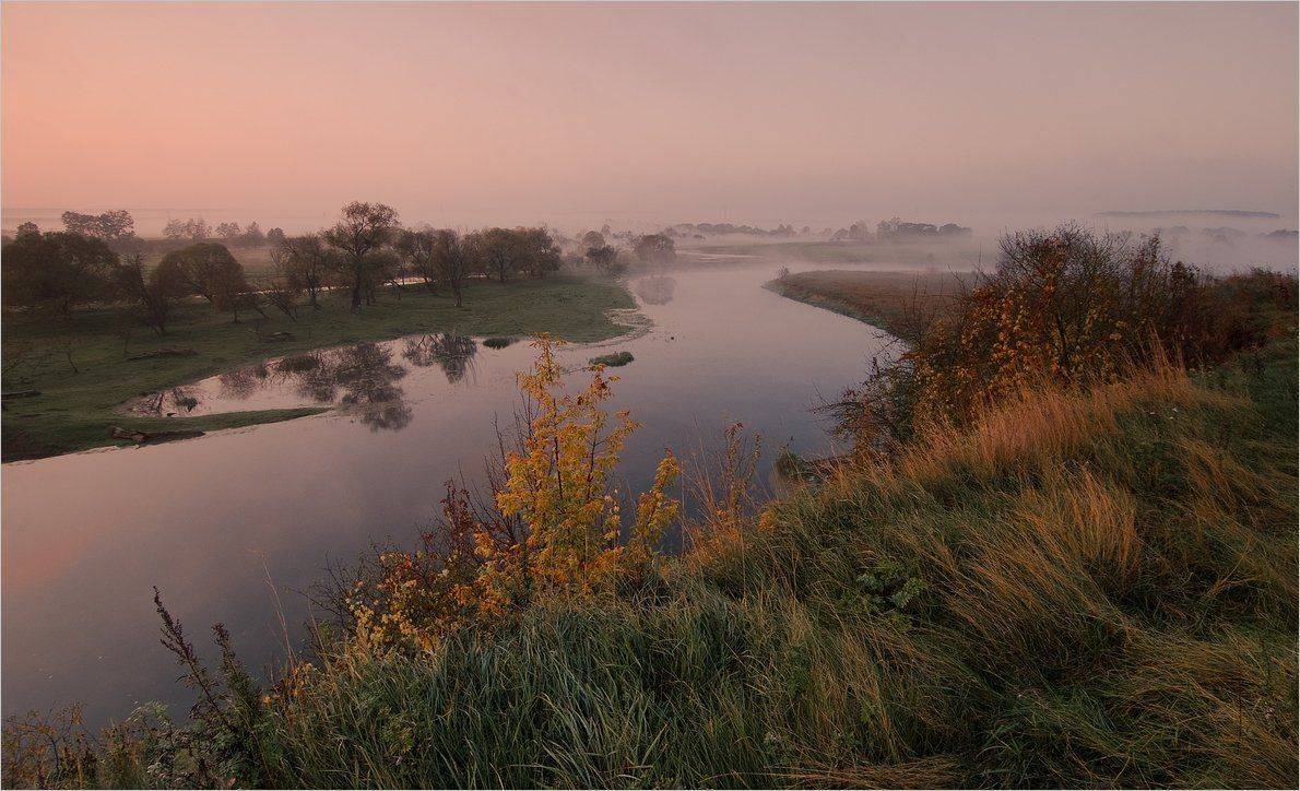 , Николай Шахманцир