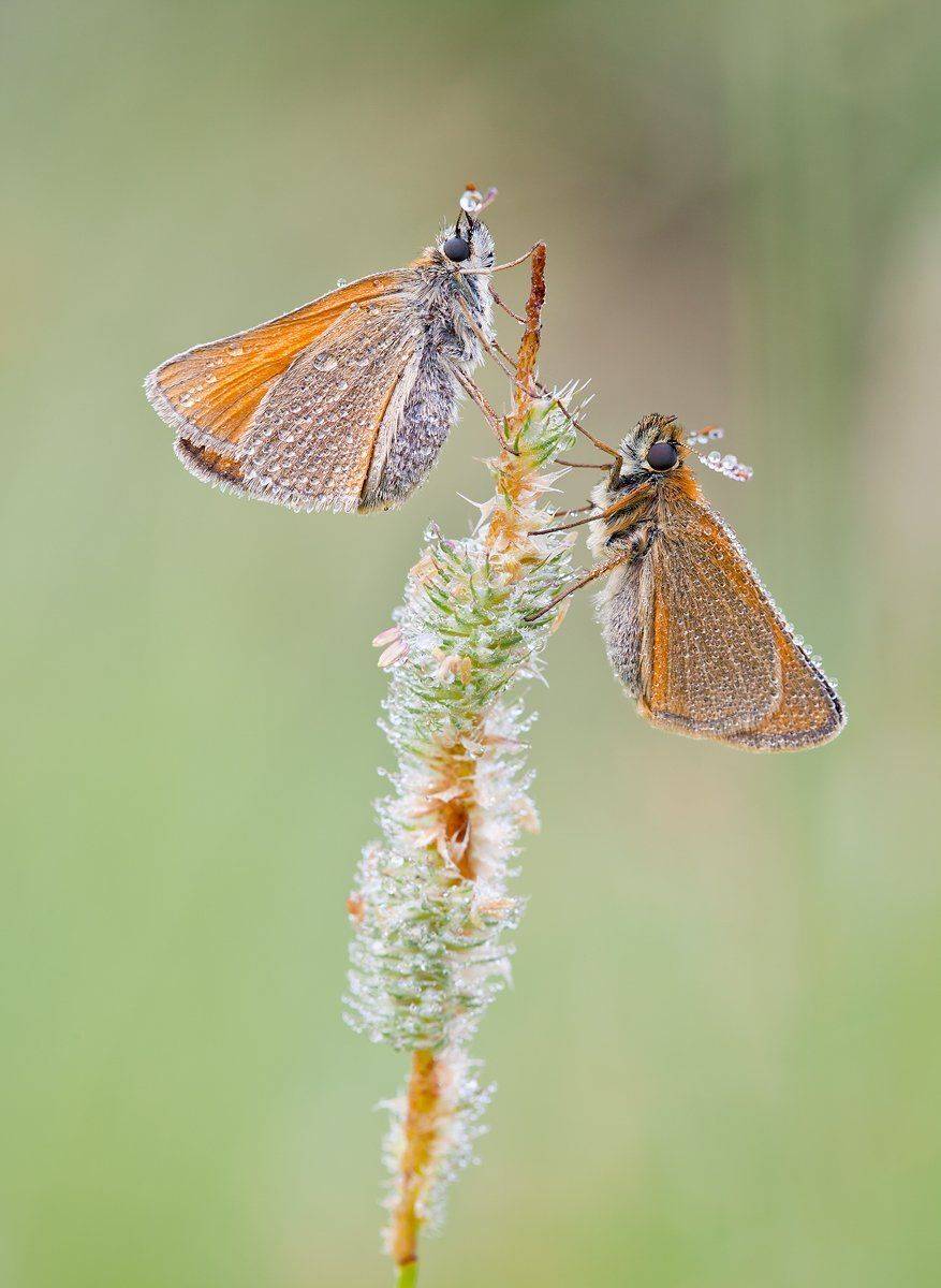 , Андрей Канышев
