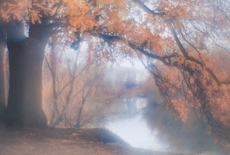 Ноябрь фото превью