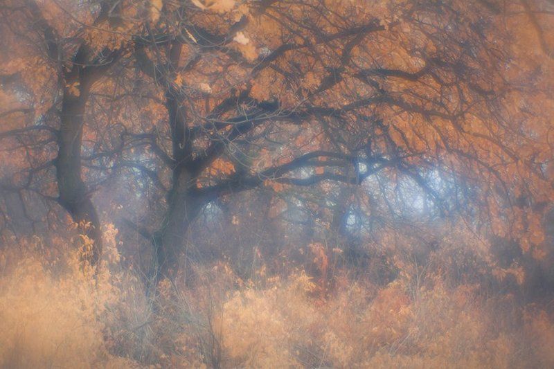 Ноябрь фото превью