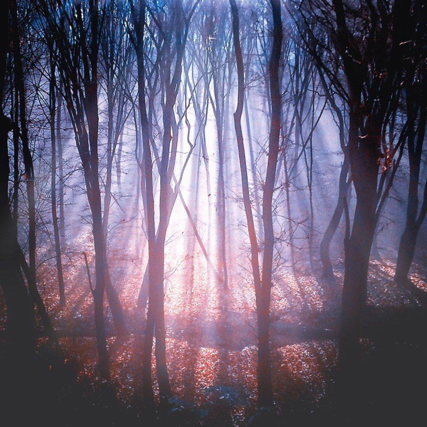 , Alexander Mikhailenko