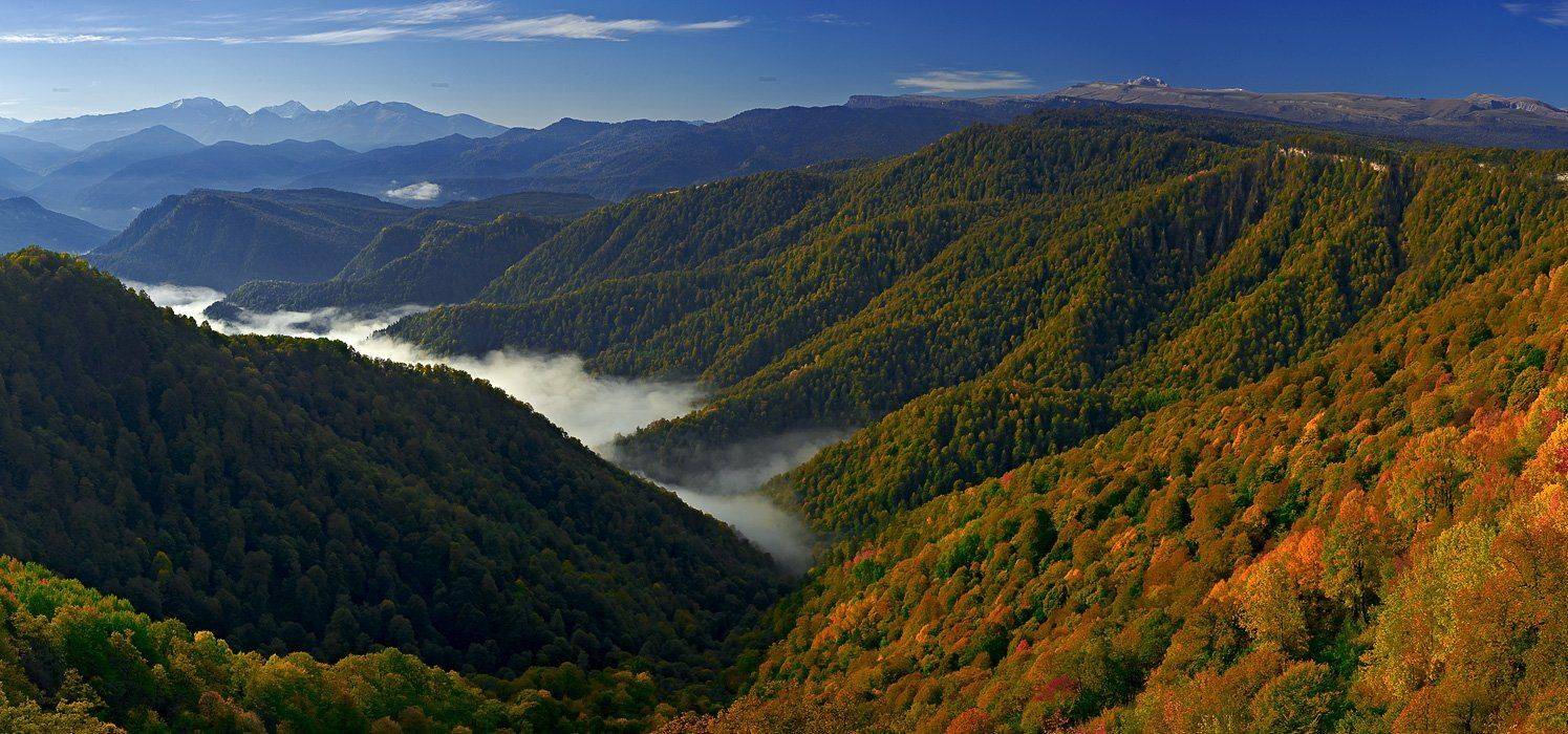 , Вадим de-Zigner Малышев