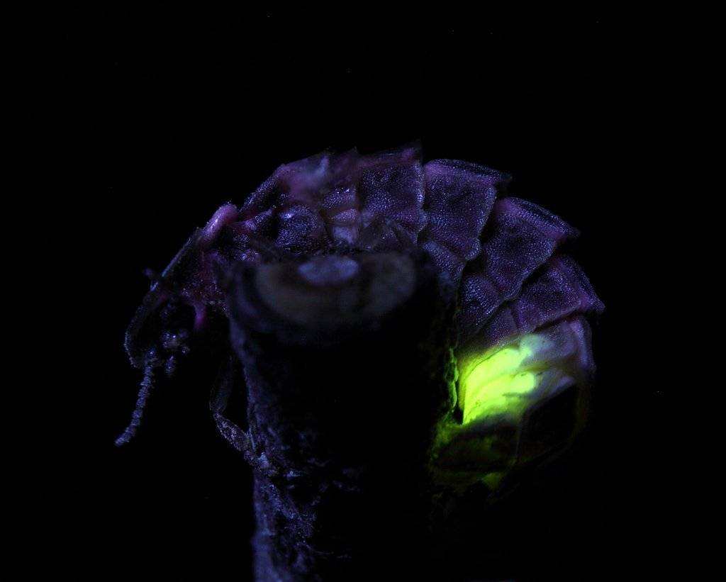 , Сергей Таланов