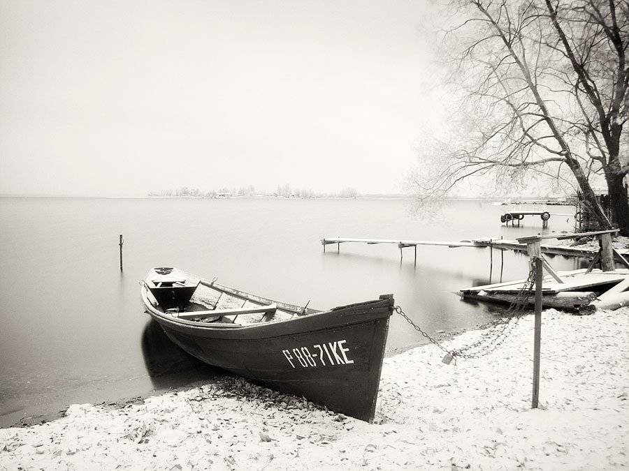 , Федотов Антон