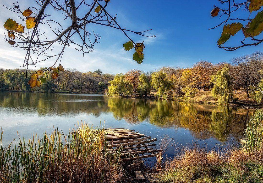 , Игорь Мелекесцев