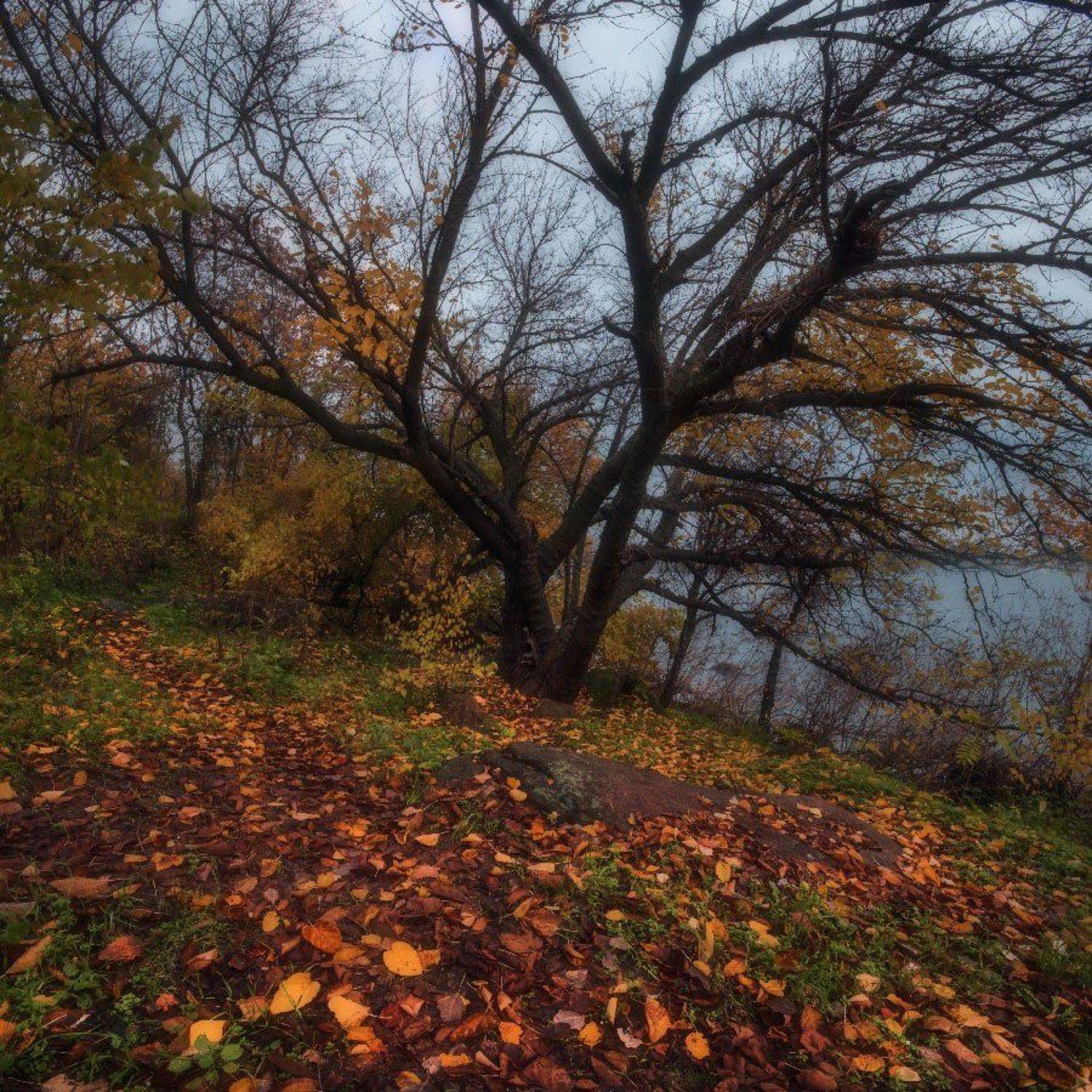 , Величко Владимир