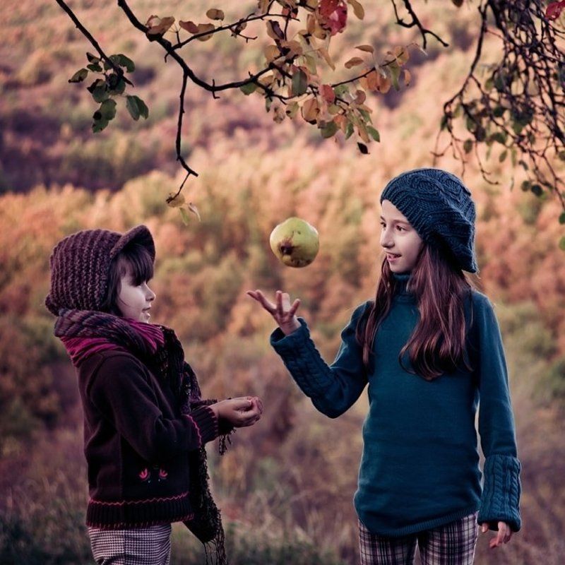 Сказки про Ньютона фото превью