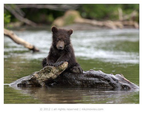 Саафсем один я тут ...