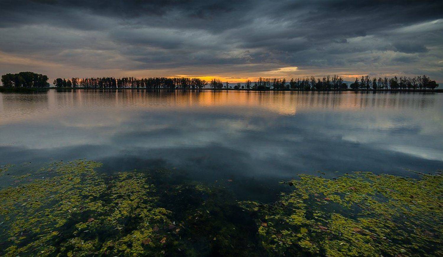 , Philip Peynerdjiev