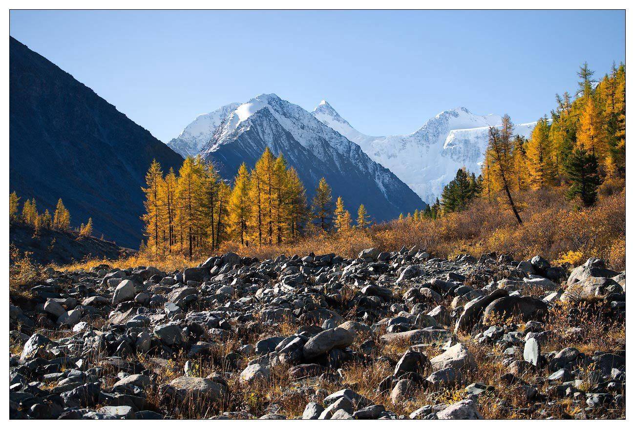 , Владимир Ляпин