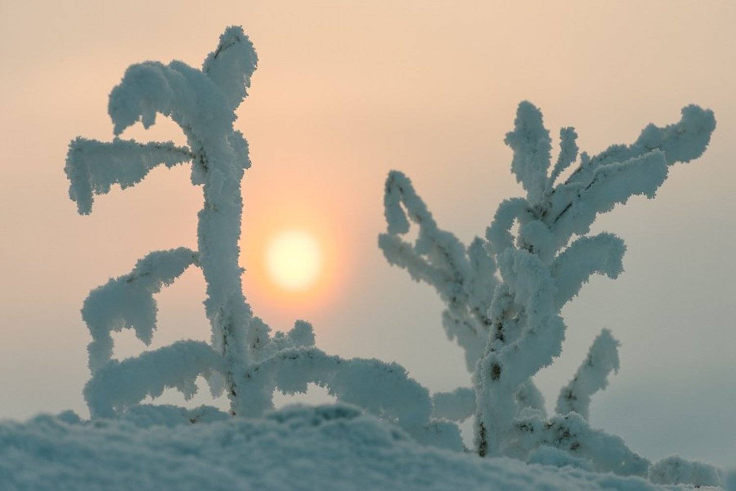 , Иван Кислов