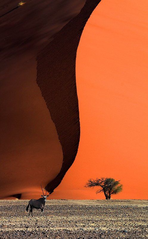 Africa is waiting. And it is red