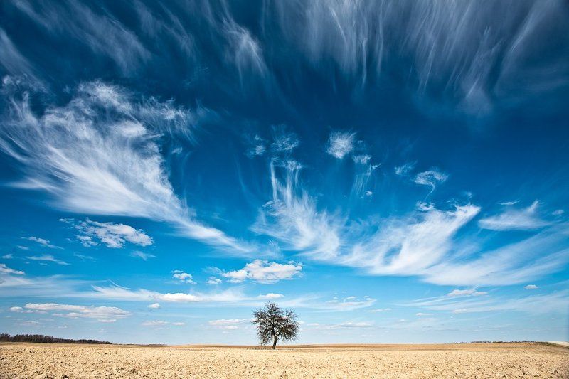 AG фото превью