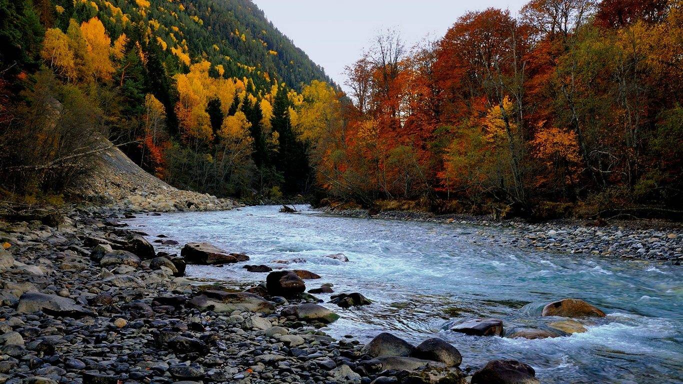утро, осень, горы, река, кмни, лес, Serj Master