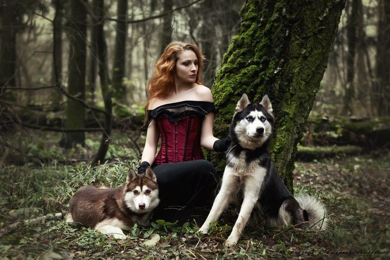 Другие Сумерки... фото превью