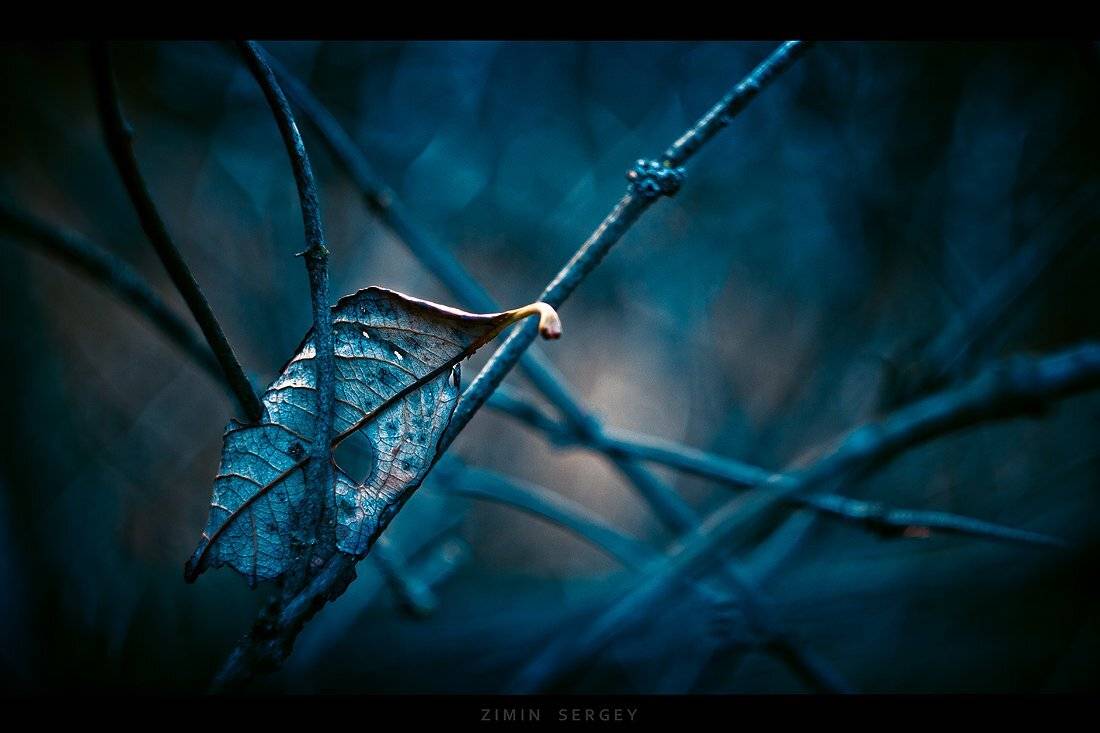 , Сергей Зимин