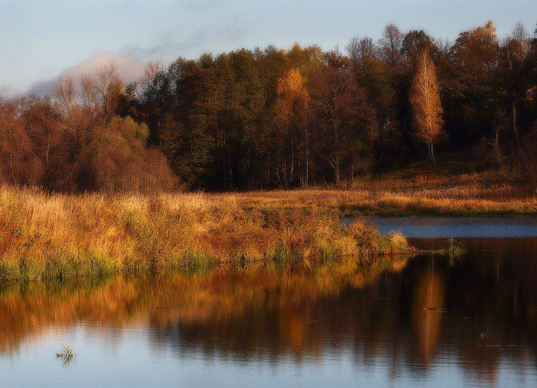, Владимир Перепечаев