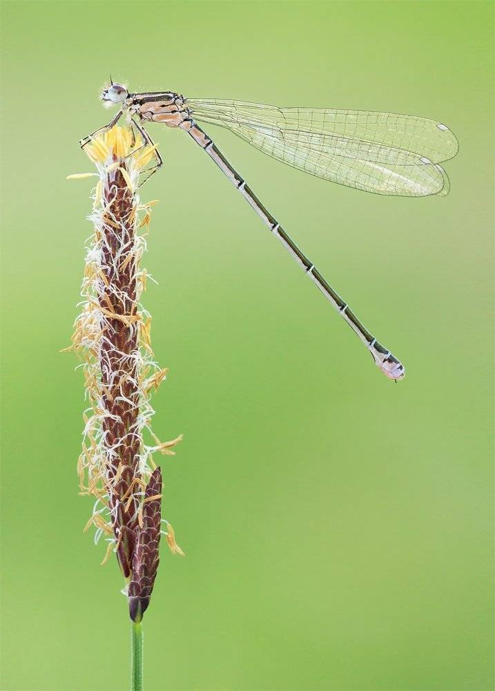 , Mateusz Frąckowiak