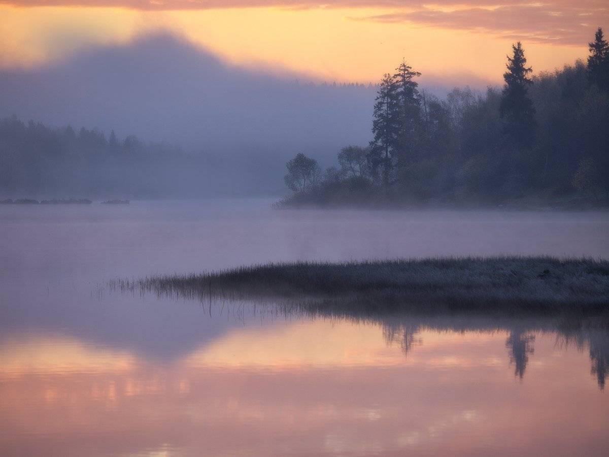 , Марина Брыдня